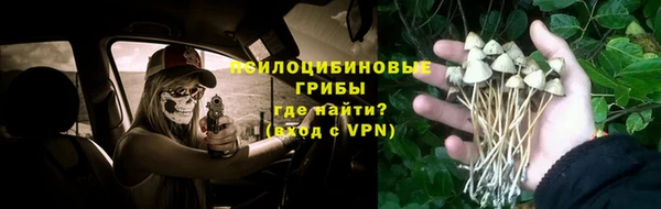 молекула духа Абдулино