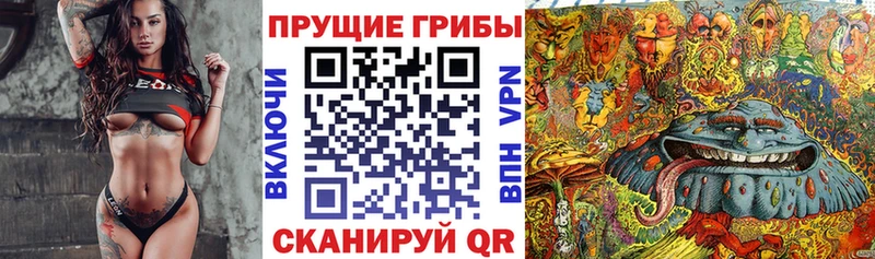 Галлюциногенные грибы MAGIC MUSHROOMS  Алексин 